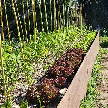 Quinta Dos Cochichos - Country Gospodarstwo agroturystyczne *