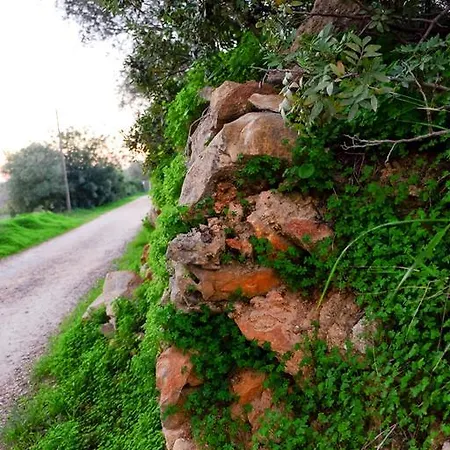 Agroturismo Quinta Dos Cochichos - Country