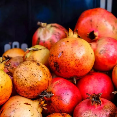 Quinta Dos Cochichos - Country Gospodarstwo agroturystyczne *