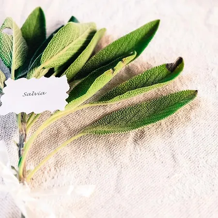 Quinta Dos Cochichos - Country * Olhão