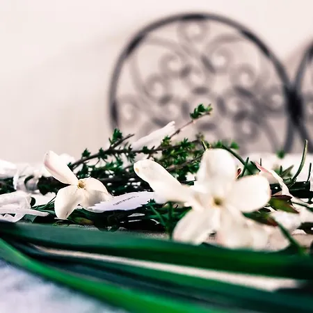 Quinta Dos Cochichos - Country Agroturismo Olhão