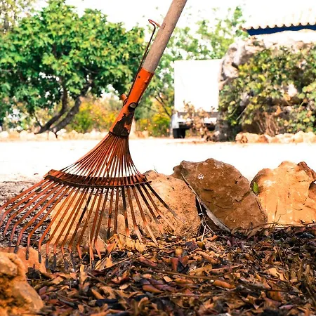 Quinta Dos Cochichos - Country