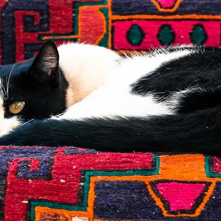 Quinta Dos Cochichos - Country Agroturismo