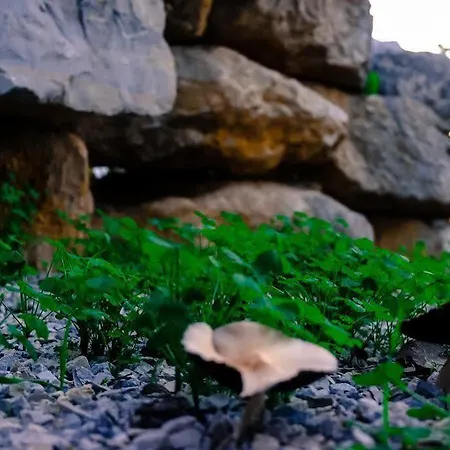 Quinta Dos Cochichos - Country Agroturismo *