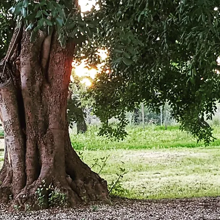 Quinta Dos Cochichos - Country *