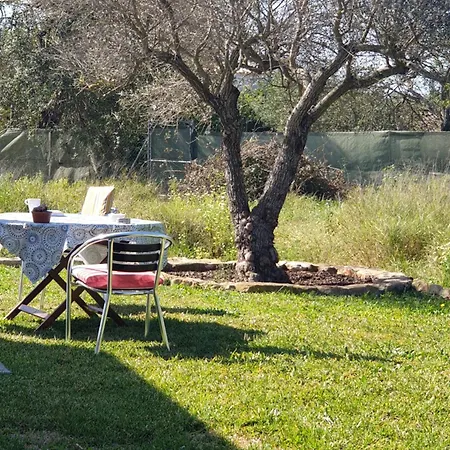 Farm stay Quinta Dos Cochichos