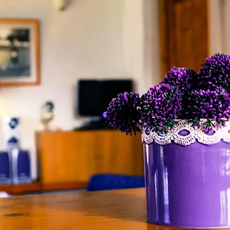 Quinta Dos Cochichos Farm stay
