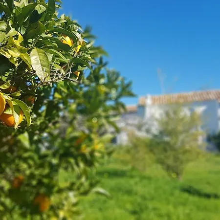 Farm stay Quinta Dos Cochichos Olhao