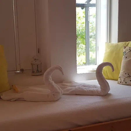 Farm stay Quinta Dos Cochichos *