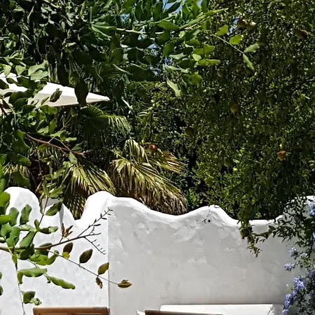 Farm stay Quinta Dos Cochichos