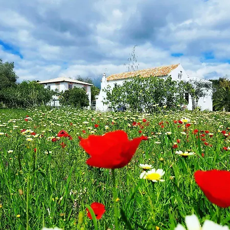 Quinta Dos Cochichos - Country Vakantieboerderij *