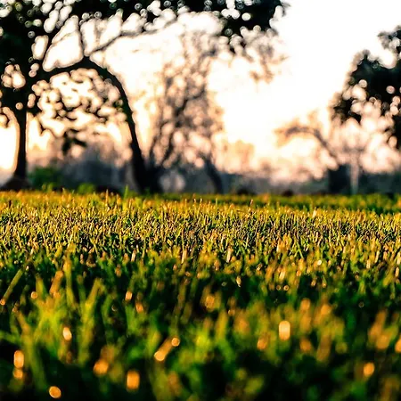 Quinta Dos Cochichos - Country *